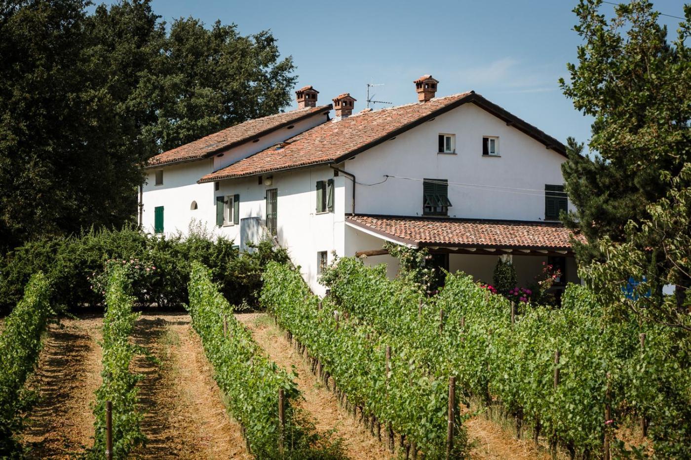 Il Poggio Di Gavi