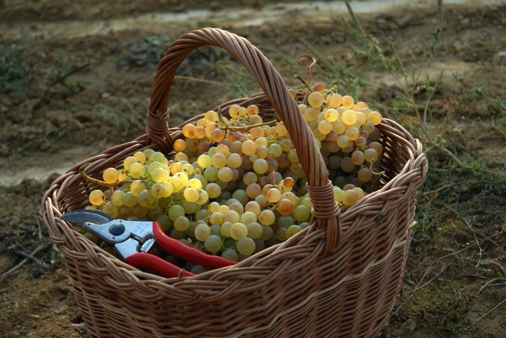Il Poggio Di *